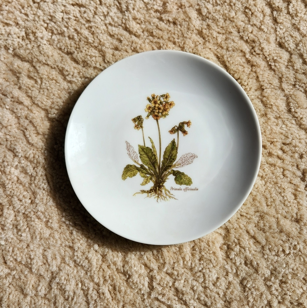 Vintage JKW Bavaria 1930 Western Germany Floral 7" Salad Plate
